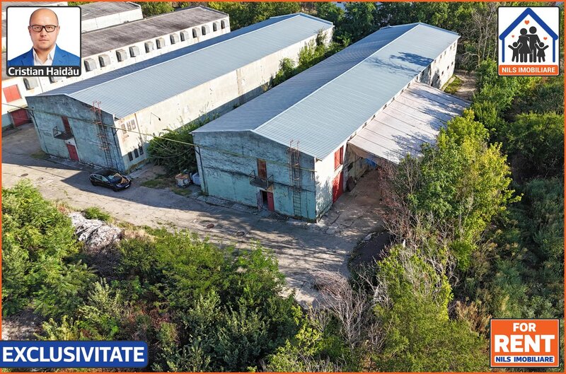 Hale de inchiriat in 1 Decembrie Ilfov, NILS Imobiliare,