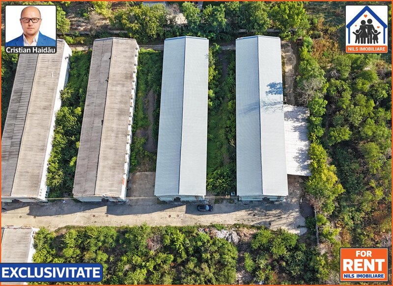 Hale de inchiriat in 1 Decembrie Ilfov, NILS Imobiliare,