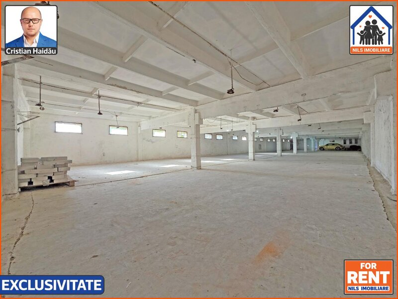 Hale de inchiriat in 1 Decembrie Ilfov, NILS Imobiliare,