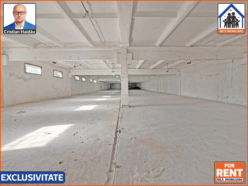 Hale de inchiriat in 1 Decembrie Ilfov, NILS Imobiliare,