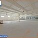Hale de inchiriat in 1 Decembrie Ilfov, NILS Imobiliare,
