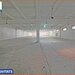 Hale de inchiriat in 1 Decembrie Ilfov, NILS Imobiliare,